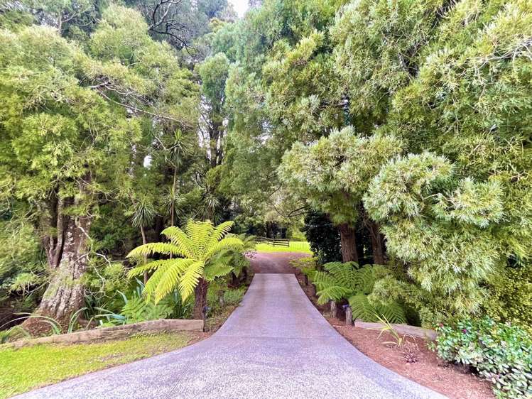 43a Youngs Grove Pukekohe_1