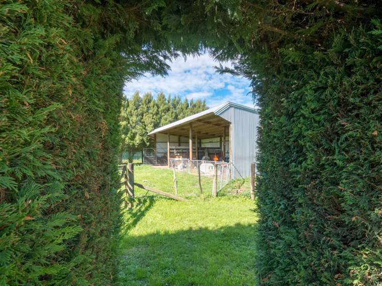 36 Kingcraft Drive Prebbleton_16