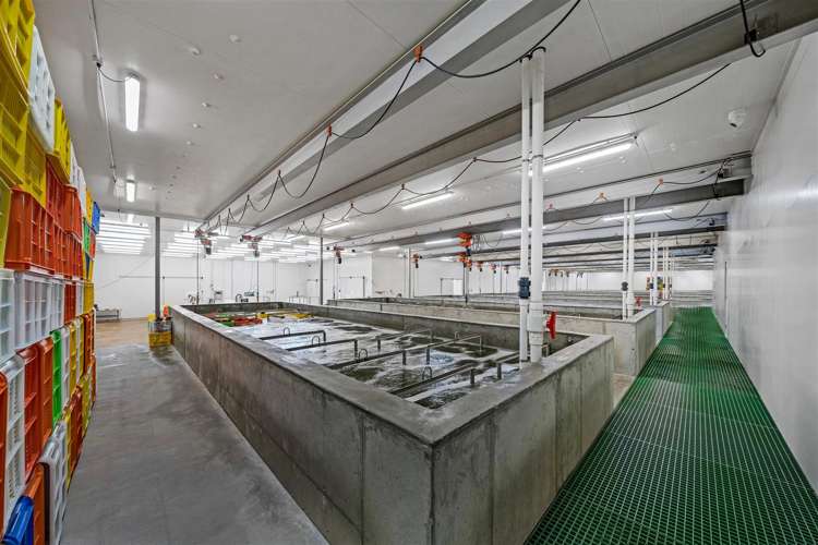 15 Ron Driver Place East Tamaki_9