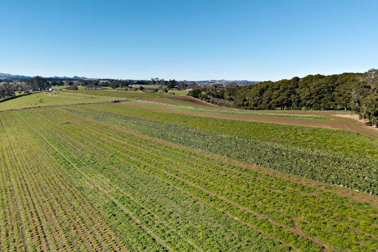 63 Wright Road Pukekohe_25