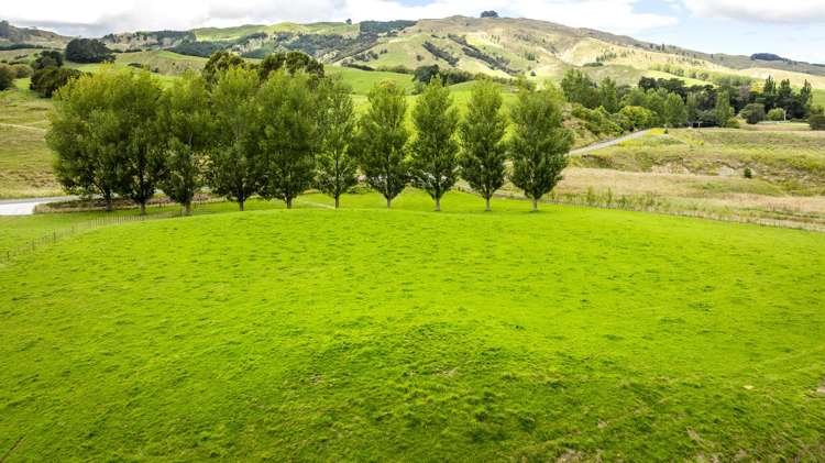 2420, 2430 and 2438 Kahuranaki Road Elsthorpe_7