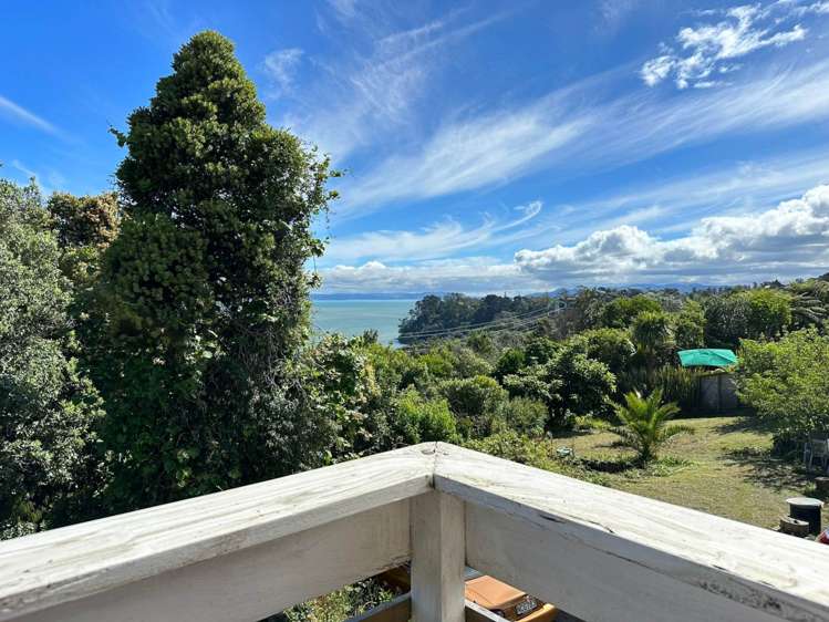 354 Hillsborough Road Hillsborough_33