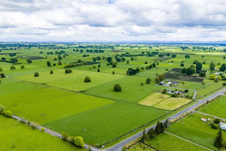 618 Piako Road Gordonton_23