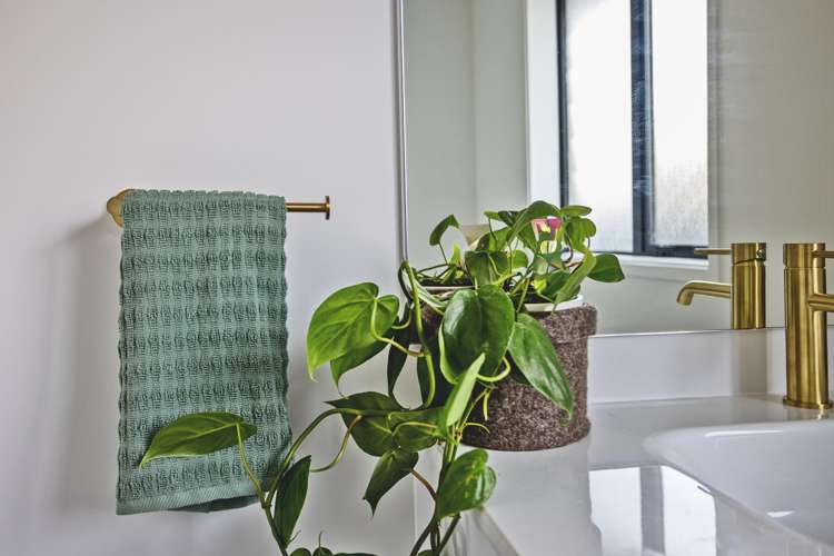 25 Salford Street Windsor_29