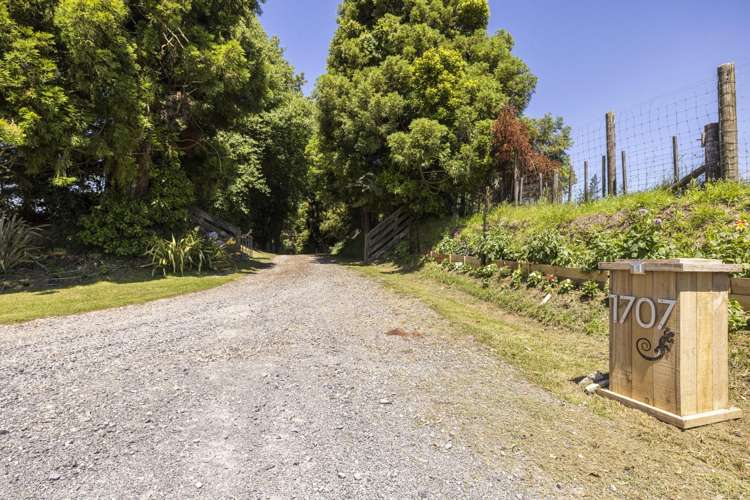 1707 Te Matai Road Te Puke_10