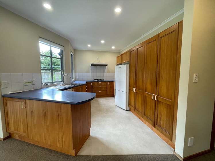 6 Ascot Avenue Remuera_4