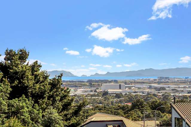 67 Eugenia Rise Totara Heights_1