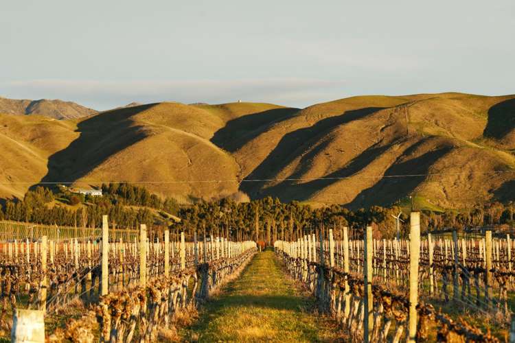 36 Wrekin Road Fairhall_11