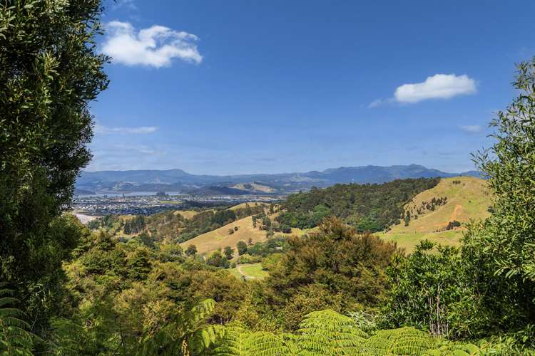 4 Tarapatiki Drive Whitianga_34