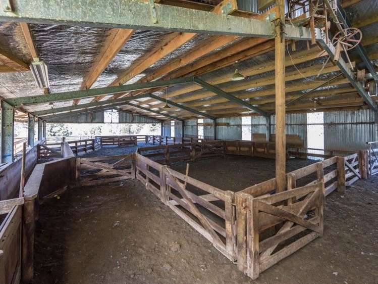 175 Barrys Bay Valley Road Duvauchelle_20