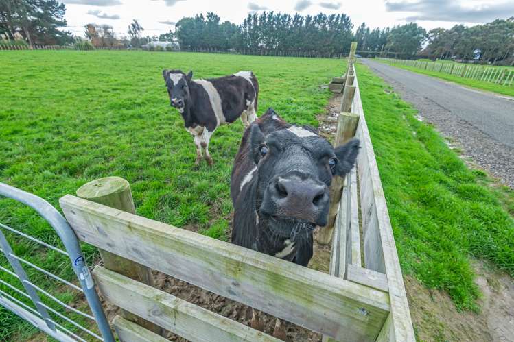 Lot 4 & 6 Reid Line East Aorangi_10