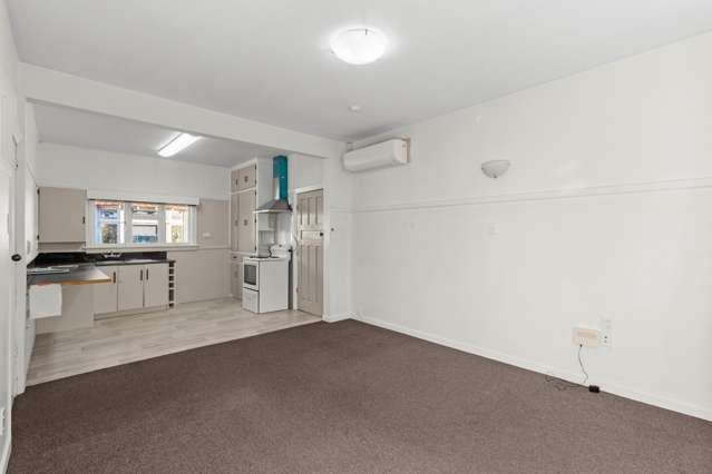 45A Ryan Street Phillipstown_2