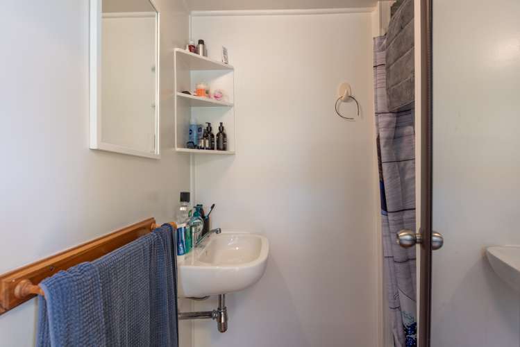 11 Mount Pleasant Road Aro Valley_18