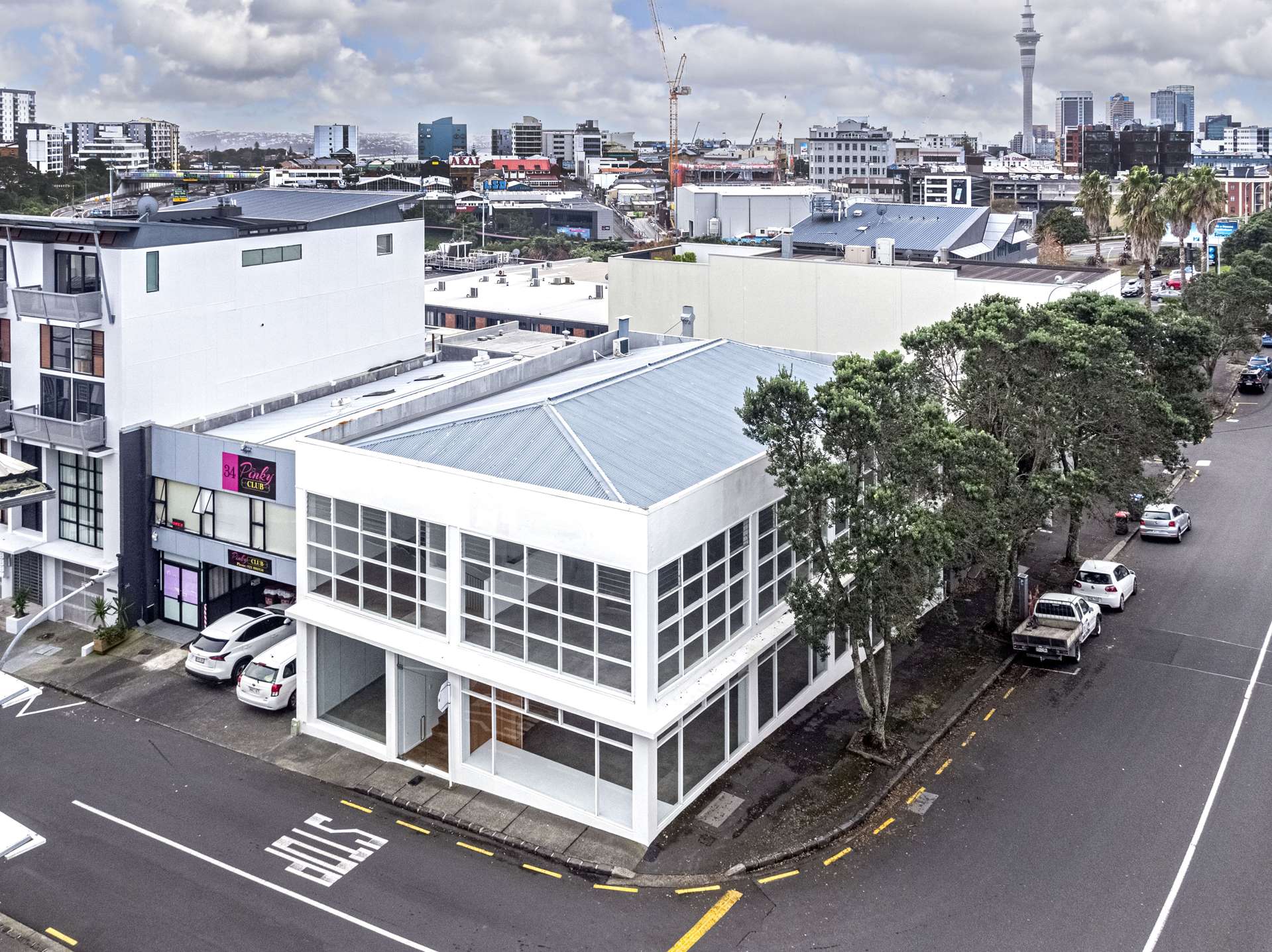 36 Karaka Street Eden Terrace_0