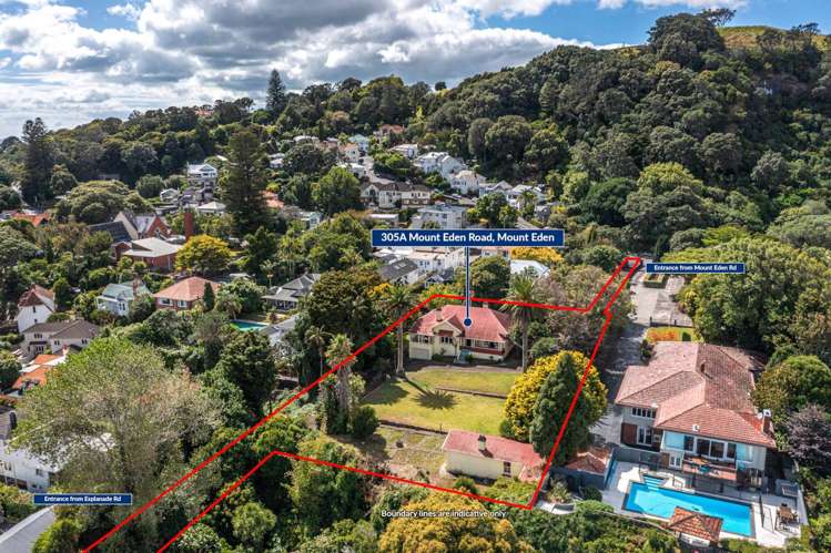 305A Mt Eden Road Mt Eden_3