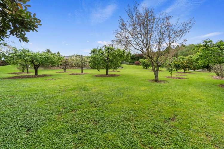 18 Molly Lane Te Awamutu_22