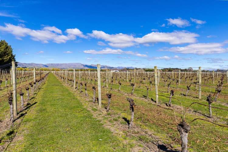 107 State Highway 63 Renwick_5