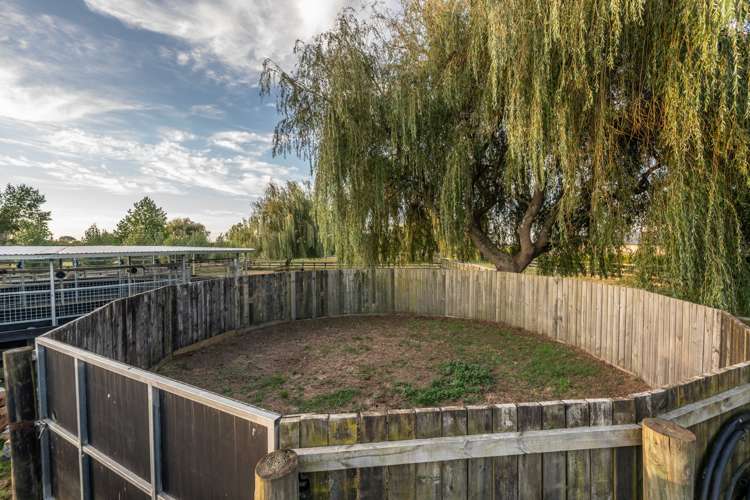 81 Racecourse Road Cambridge_29