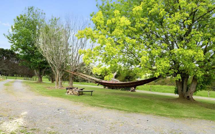 36 Pataua North Road_4