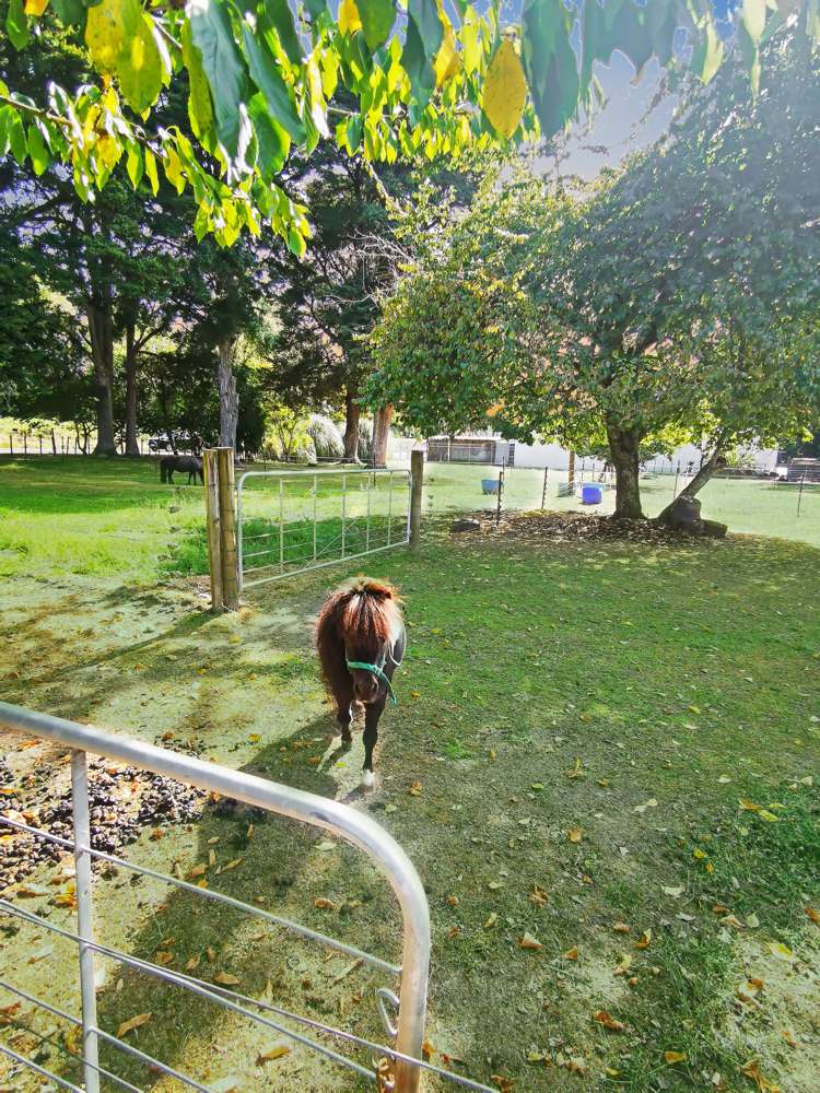 3 Miro Street Manunui_17