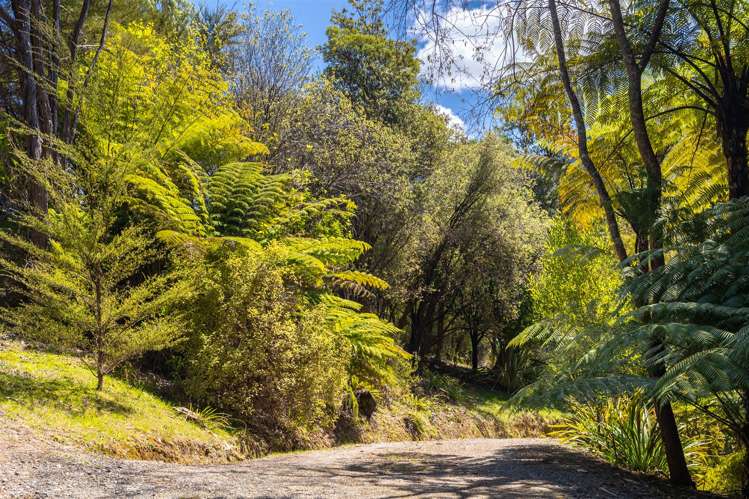 540 Moetapu Bay Road Anakiwa and Surrounds_27