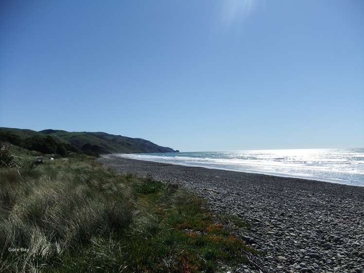 371 Cathedral Road Domett_20