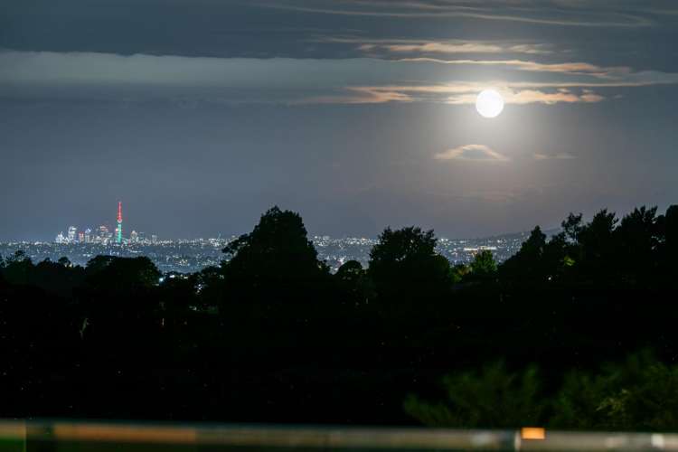 91 Mountain Road Henderson Valley_24