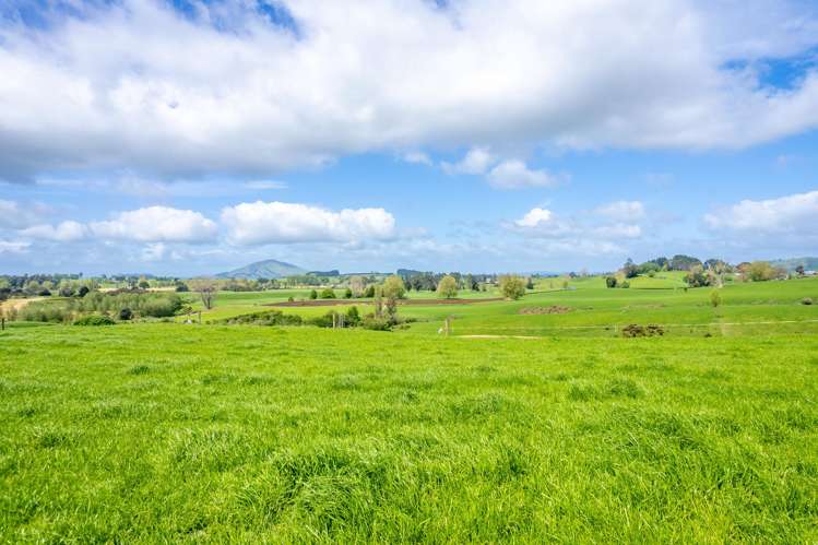 Lot 3 Bird Road Pirongia_11