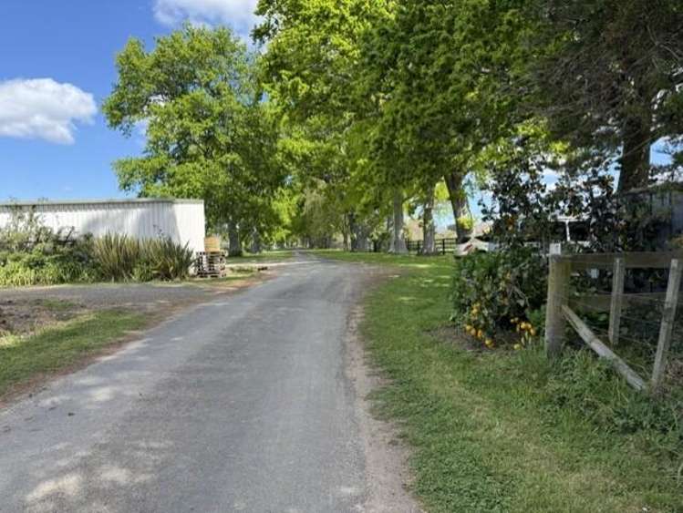 473 Bruntwood Road Tamahere_13