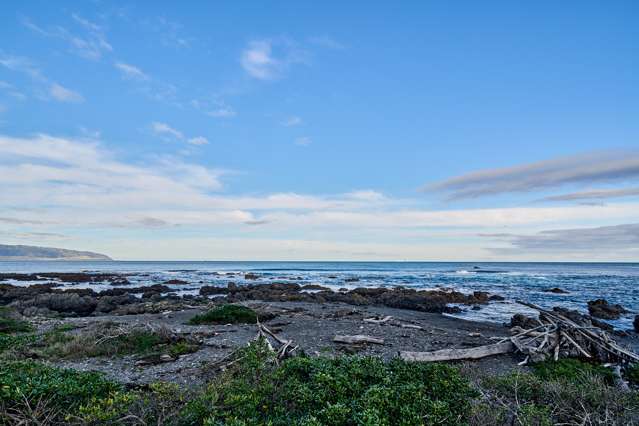 166 Owhiro Bay Parade Owhiro Bay_1