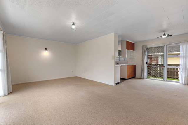 3/14A Shortland Street Regent_4