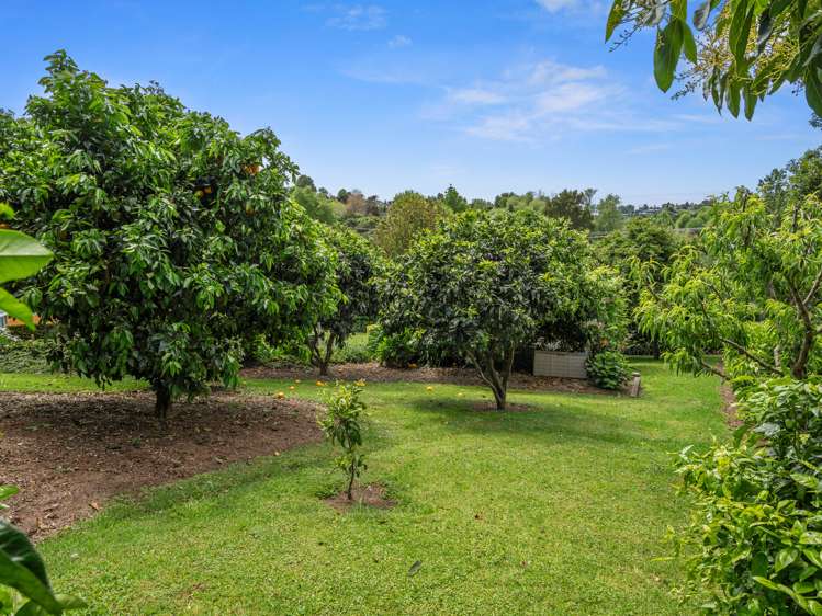 17 Wallace Place Tauriko_29