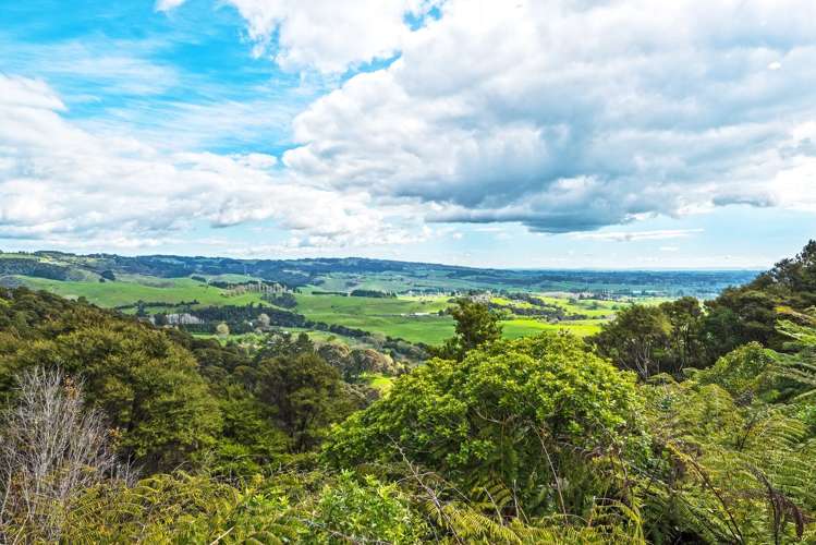233 Otau Mountain Road Clevedon_0