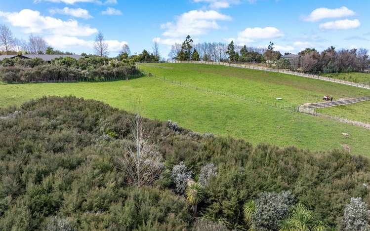 51 Clayden Road Warkworth_8