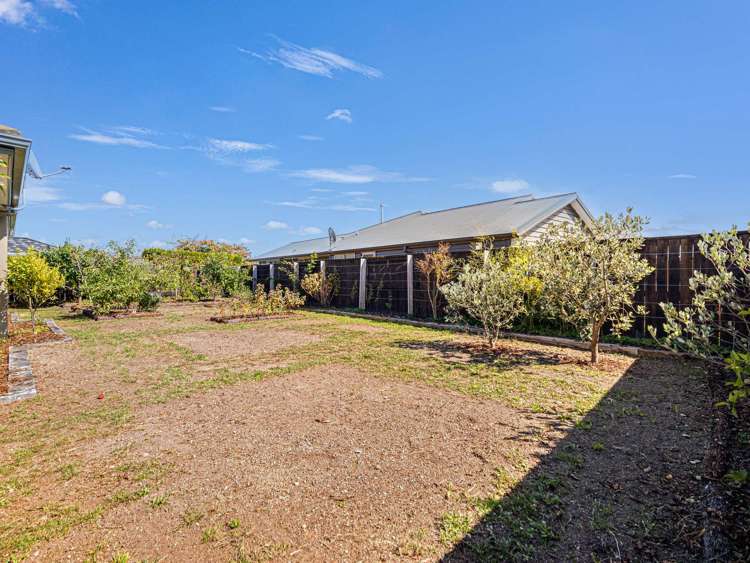5 Barbary Close Wharewaka_27