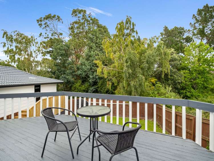 9 Guernsey place Fitzherbert_12