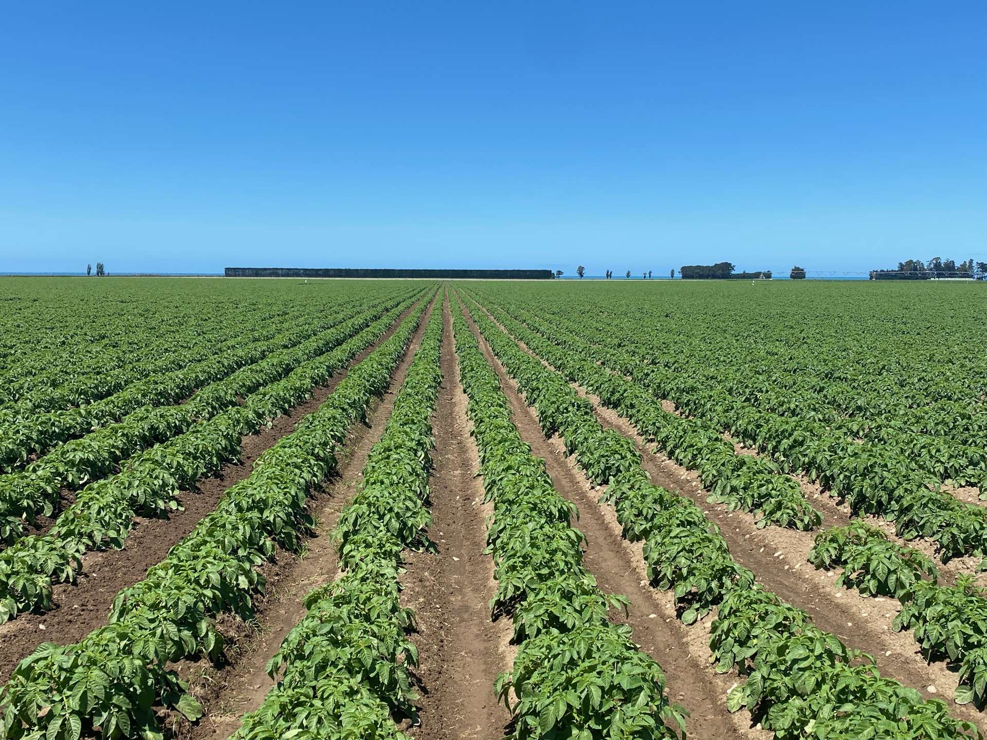 1823 Chertsey Kyle Road and Lambies Road Pendarves_0