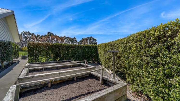 54 Mapleham Drive Pegasus_29