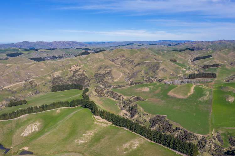 387 Eggleston Road Cheviot_24