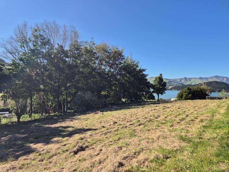 282 Wainui Main Road French Farm_8