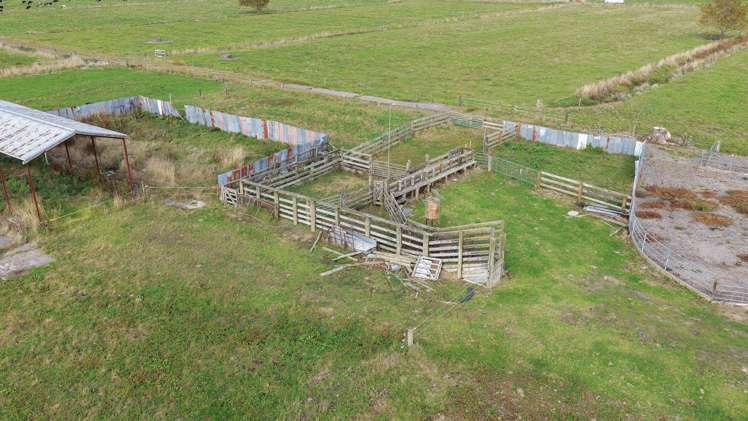 1338 State Highway 25 Pipiroa_21