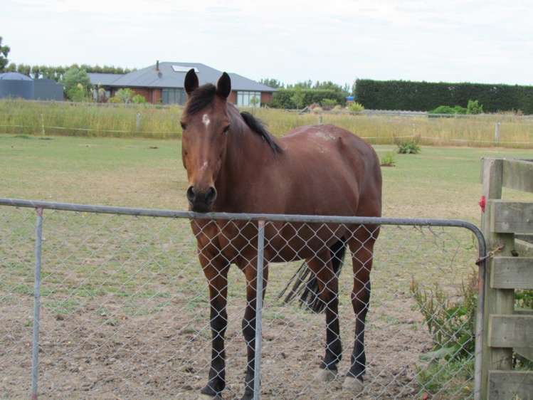 202 Fords Road Willowby_2