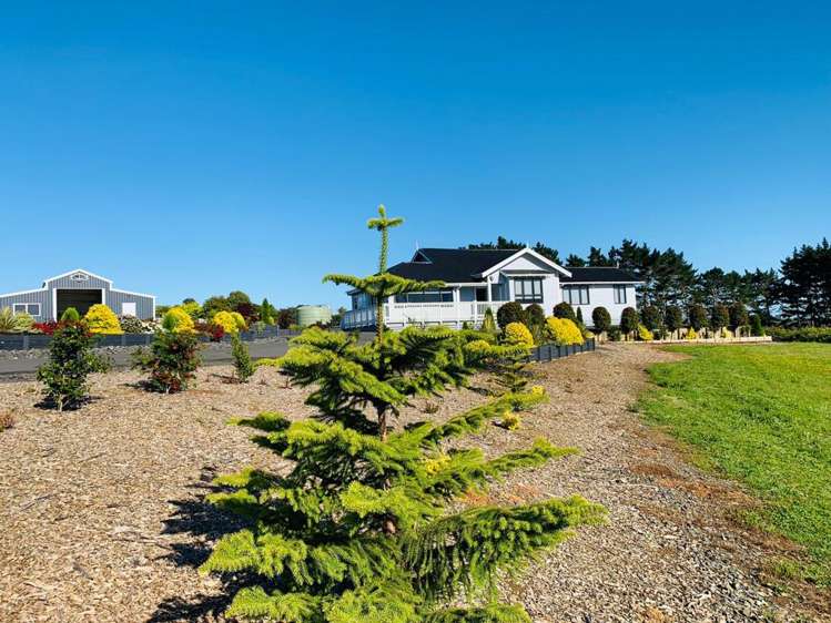 76 AKA AKA ROAD Puni_22