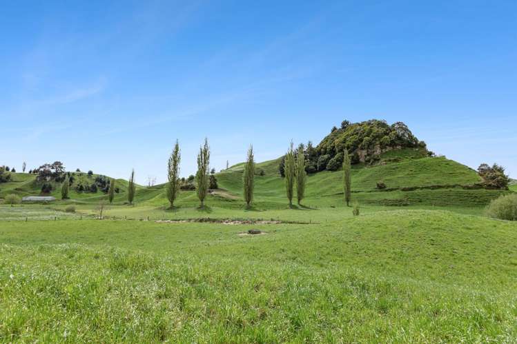 141 Puketirau Road Tirau_29
