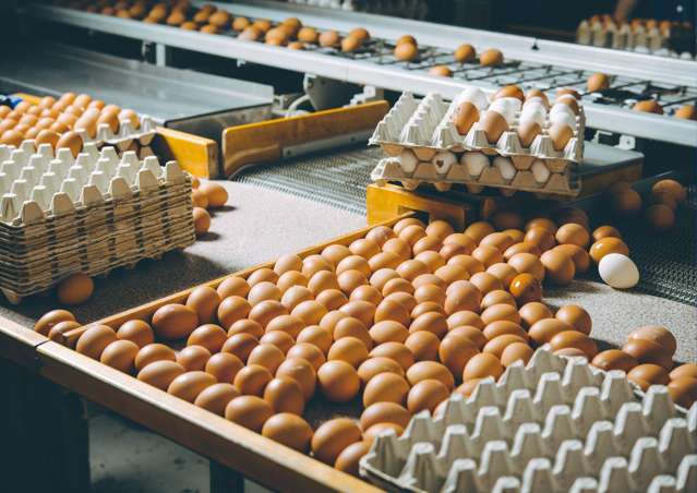 Address withheld Christchurch Surrounds_2