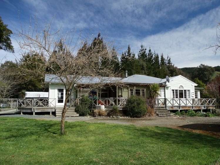 453 Kohatu-Kawatiri Highway Kahurangi National Park_20