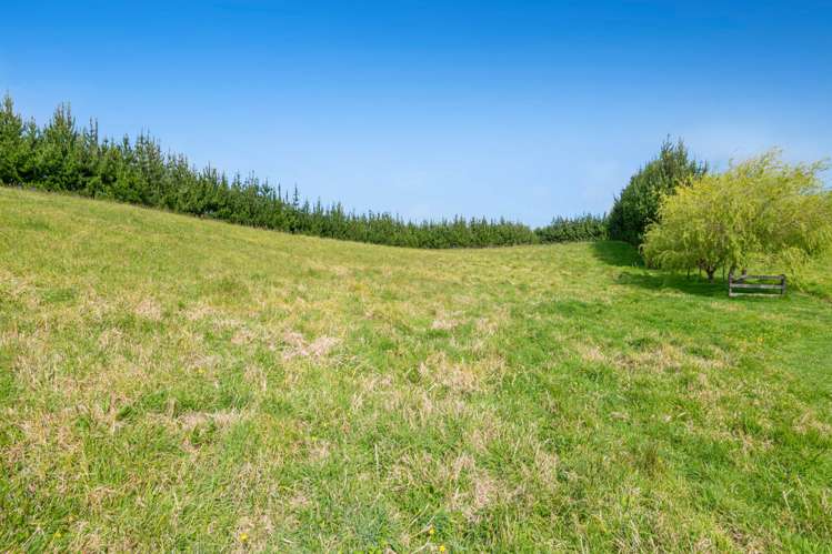 515 Fordyce Road Helensville_34