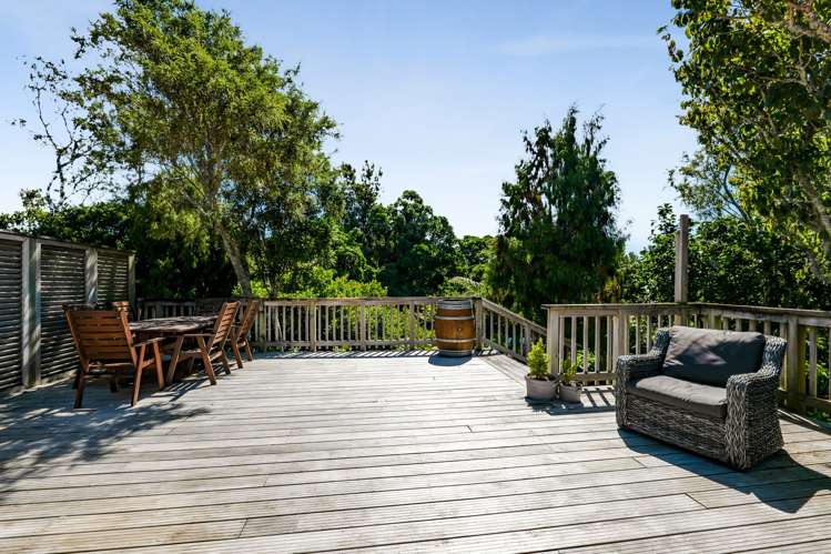 11 Lynton Street Upper Vogeltown_15