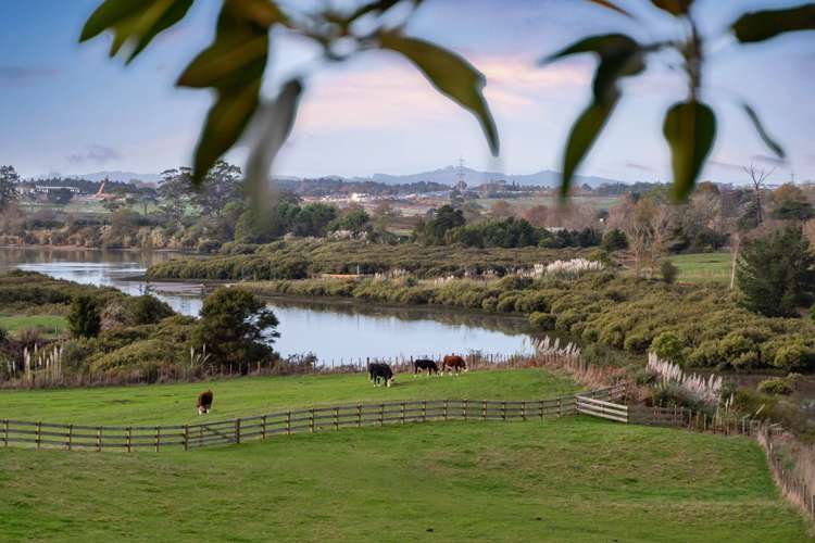 44 Arana Drive Karaka_15
