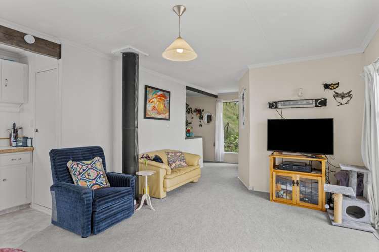 280 Nikau Road, State Highway 67 Nikau_10